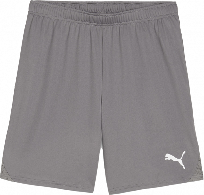 Puma - Teamgoal Shorts Børn - Cast Iron & hvid